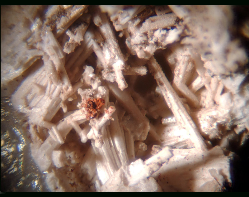 Apatite-(CaOH) photo